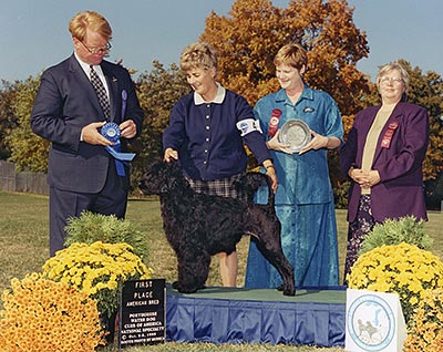 First place American Bred class, 2000 PWDCA National Specialty